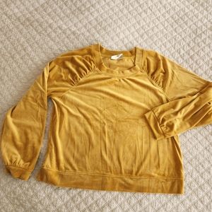 Merida Velvet Sweatshirt